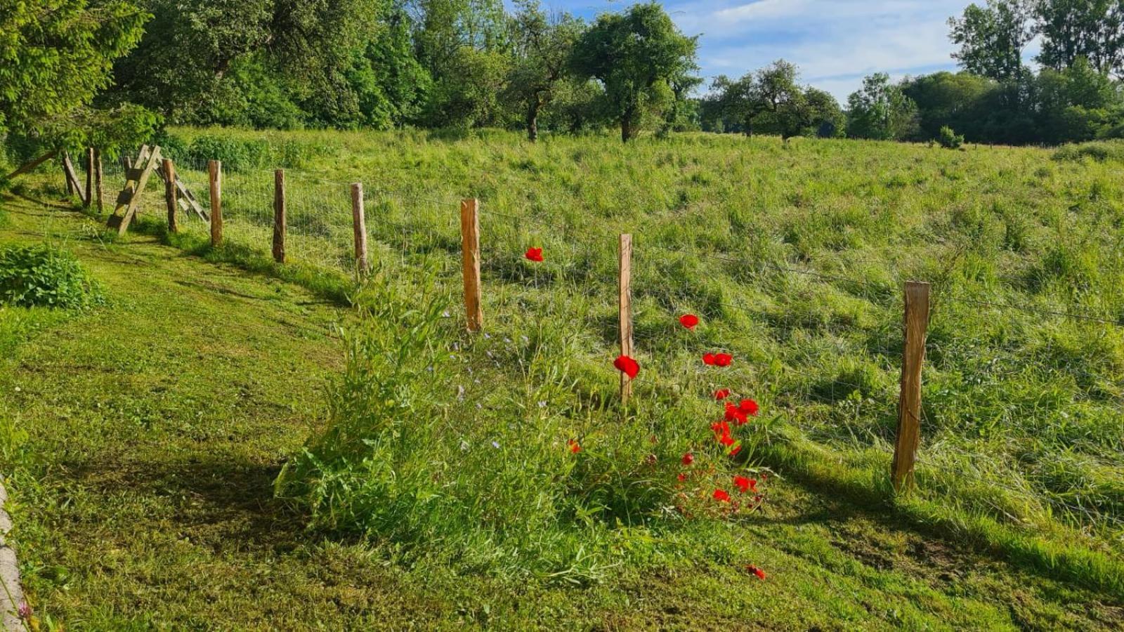 Sous Le Saule Apartman Nods Kültér fotó