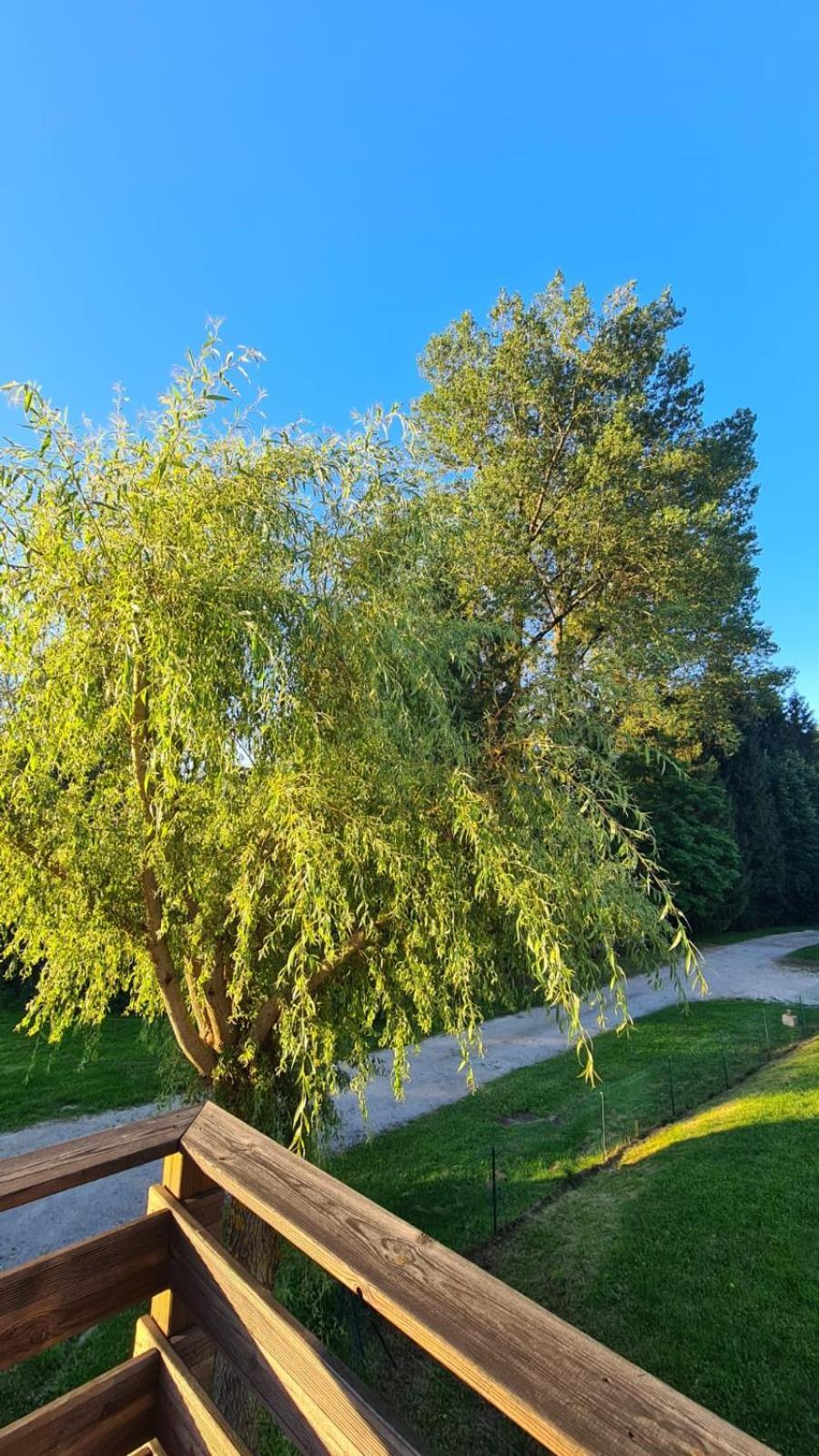 Sous Le Saule Apartman Nods Kültér fotó