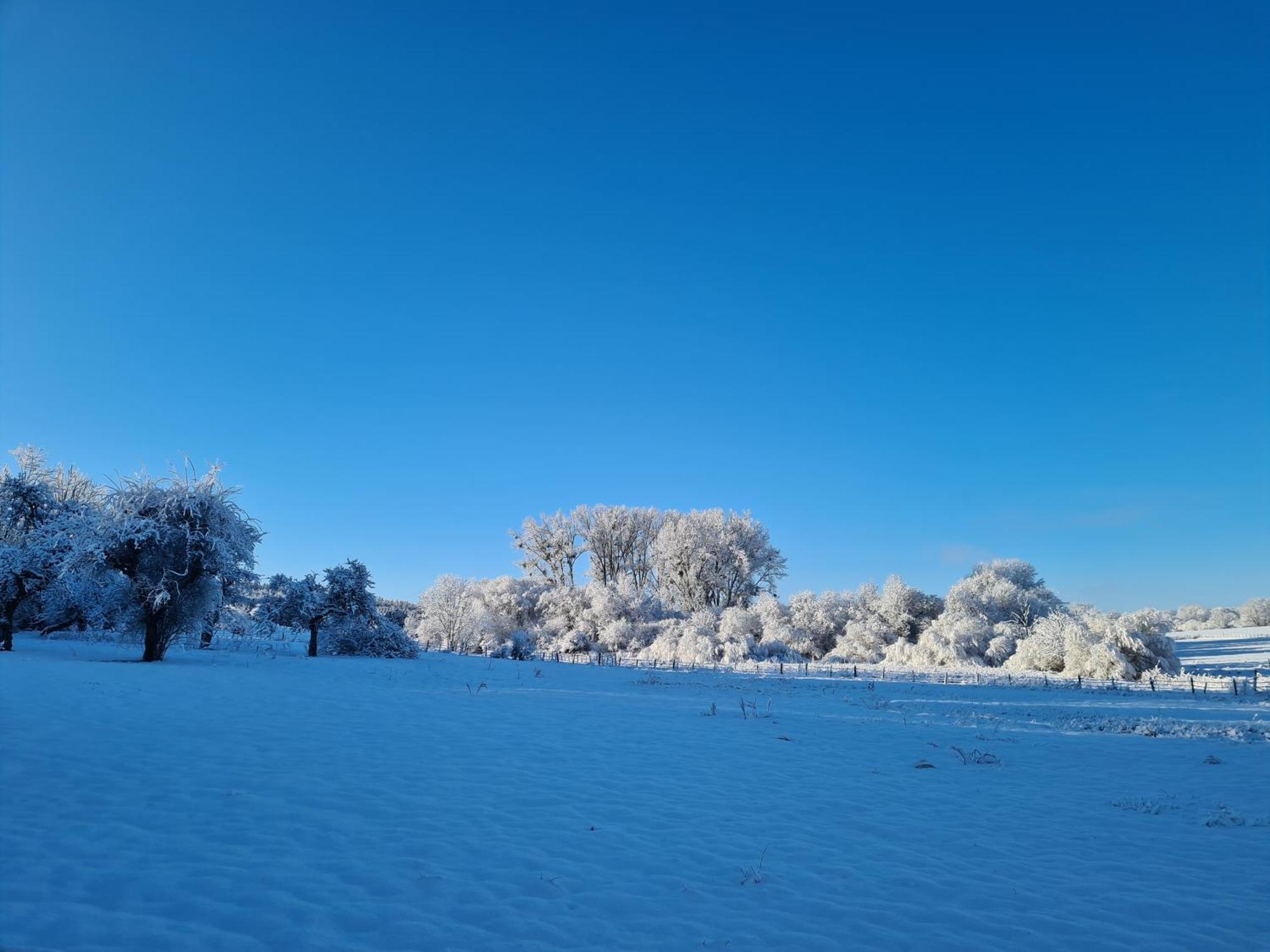 Sous Le Saule Apartman Nods Kültér fotó